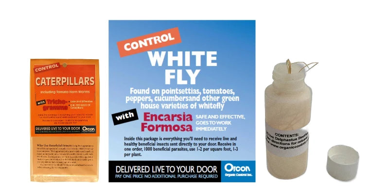 Beneficial Insectary products