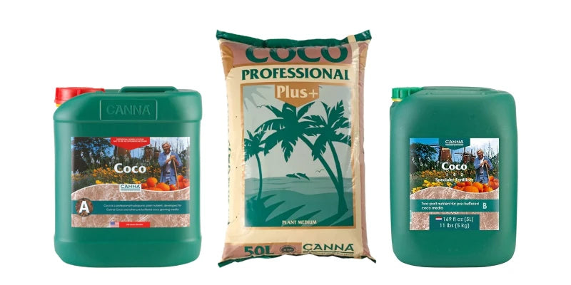 CANNA products