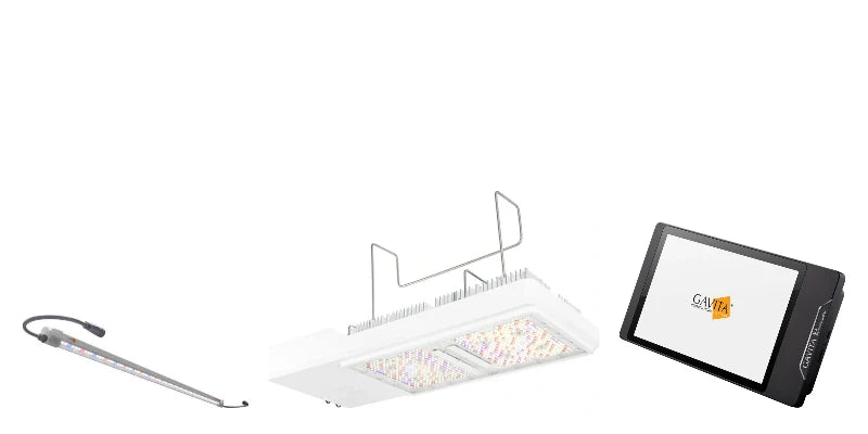 GAVITA products