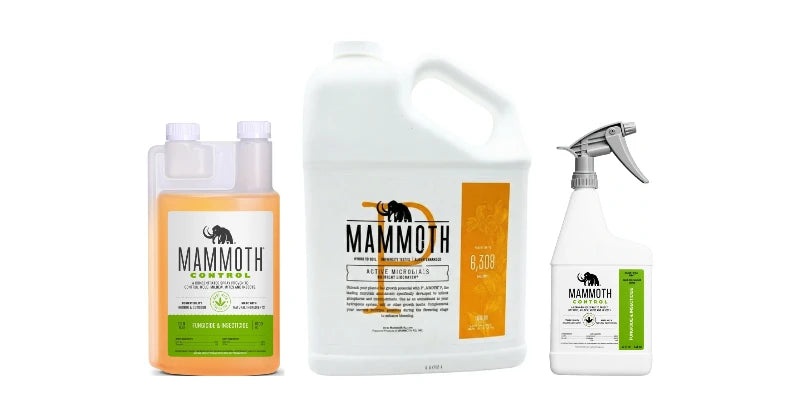 Mammoth products