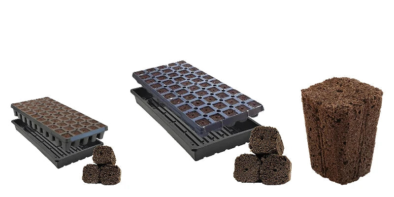 OrganiPlugs products