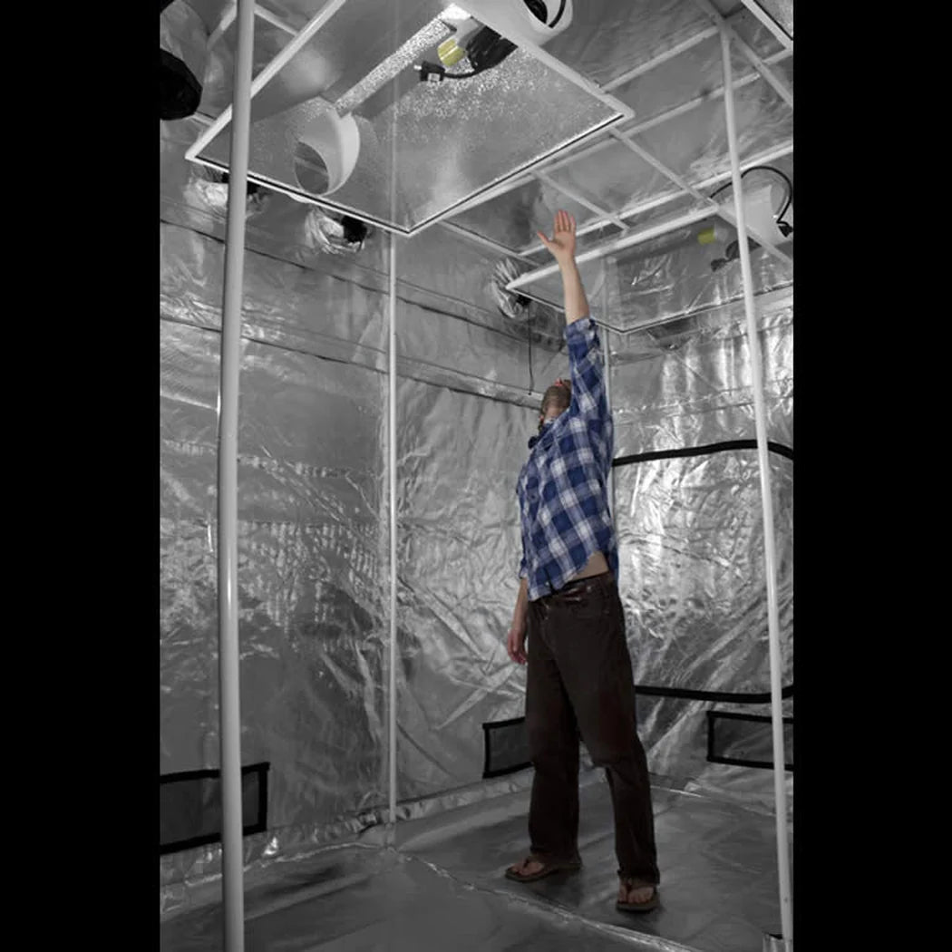 Interior of a Gorilla Grow Tent with reflective walls