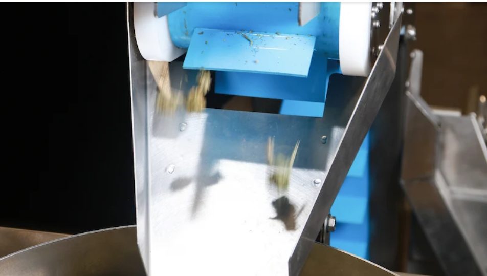 GreenBroz Rise Conveyor Flower Processing Image