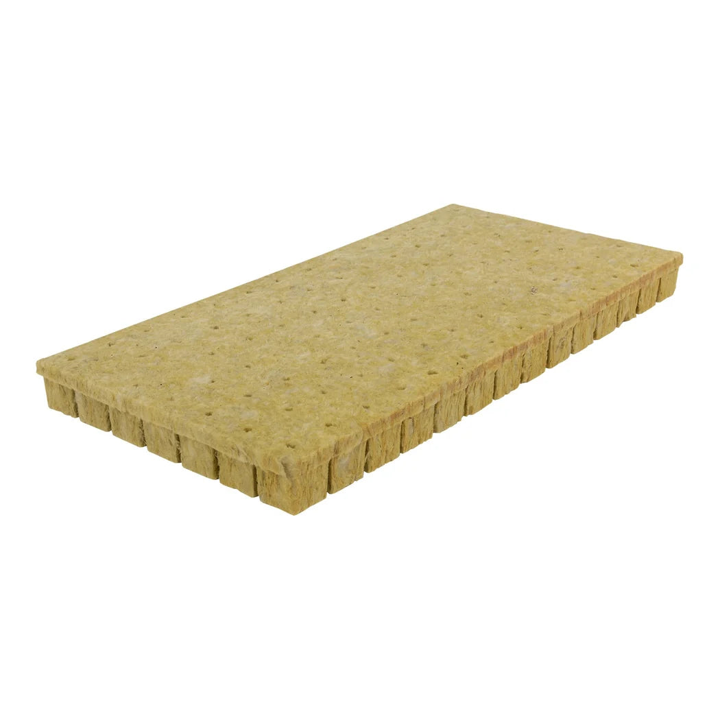 Grodan Stone Wool A-OK Plugs 1.5 inch X 1.5 inch - strip of 98 stone wool plugs