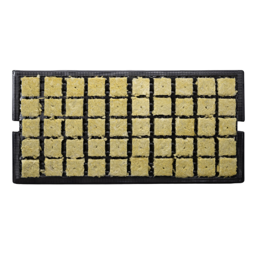 GrodanÂ® Stone Wool 1.5" A-OK Starter Plugs In Prefilled Tray - Main Image