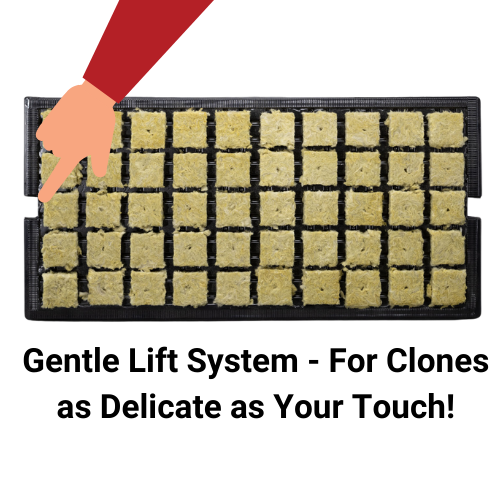GrodanÂ® Stone Wool 1.5" A-OK Starter Plugs In Prefilled Tray - Gentle Lift System