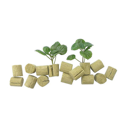 Loose Grodan Macroplugs with two rooted seedlings