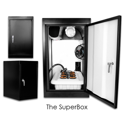 SuperBox â€“ Grow Closet