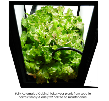 SuperBox â€“ Grow Closet