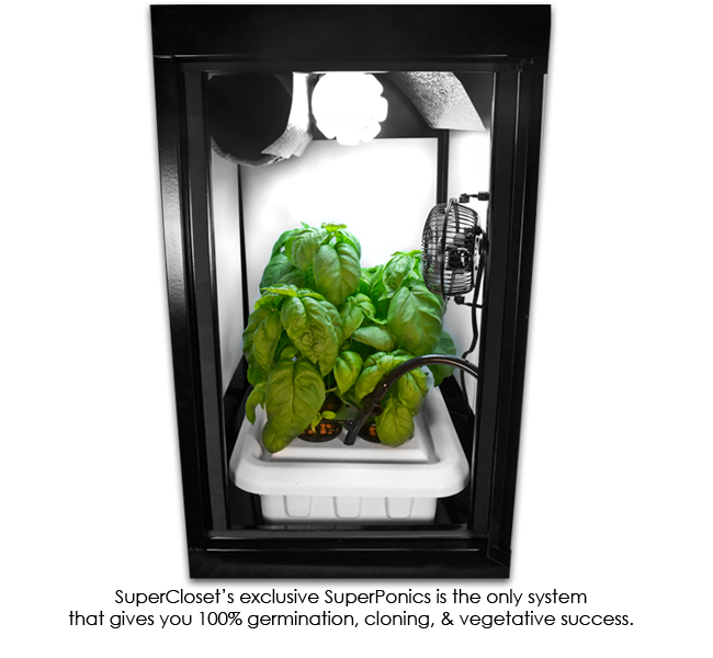 SuperBox â€“ Grow Closet