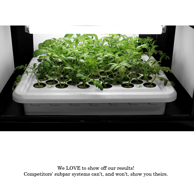 LED Trinity 3.0 â€“ LED Grow Boxes