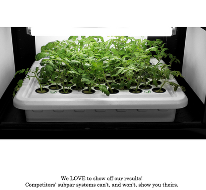 LED Trinity 3.0 â€“ LED Grow Boxes