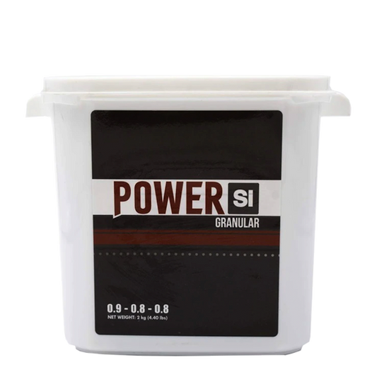 PowerSi Granular Silicic Acid