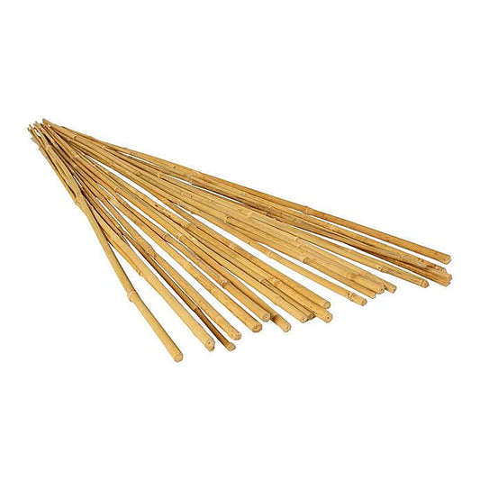 Natural bamboo stakes, loose
