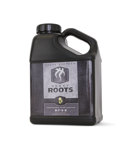 Heavy 16 Roots