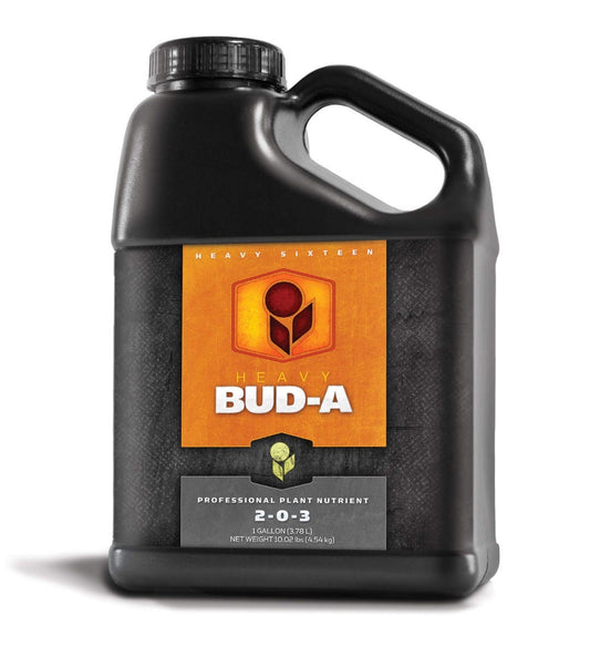 HEAVY BUD A