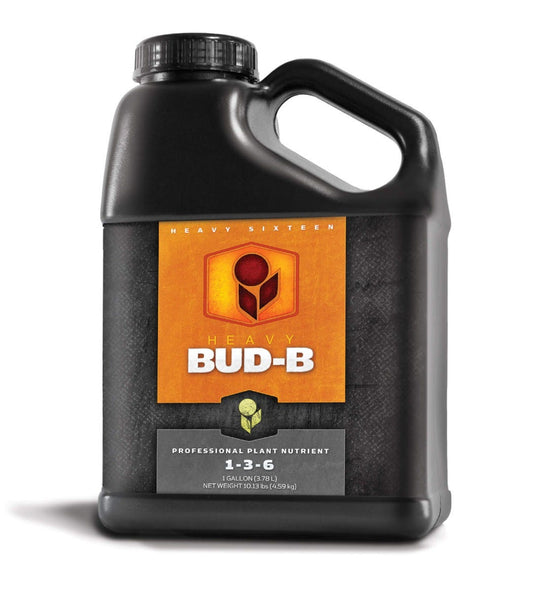 HEAVY BUD B