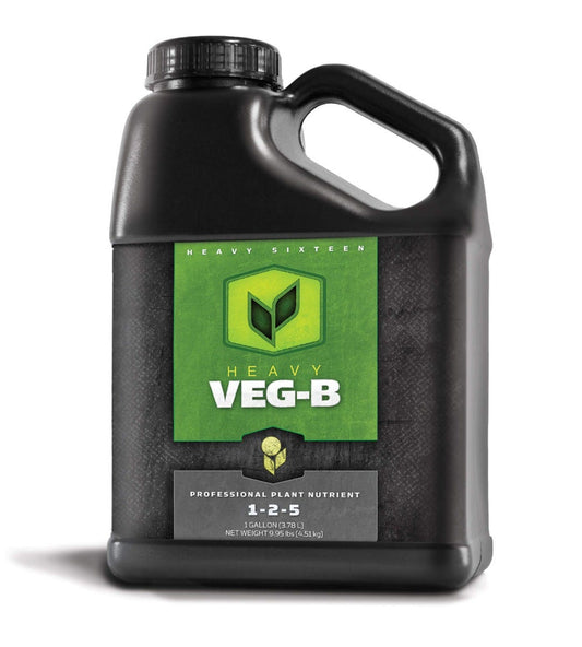 HEAVY VEG B