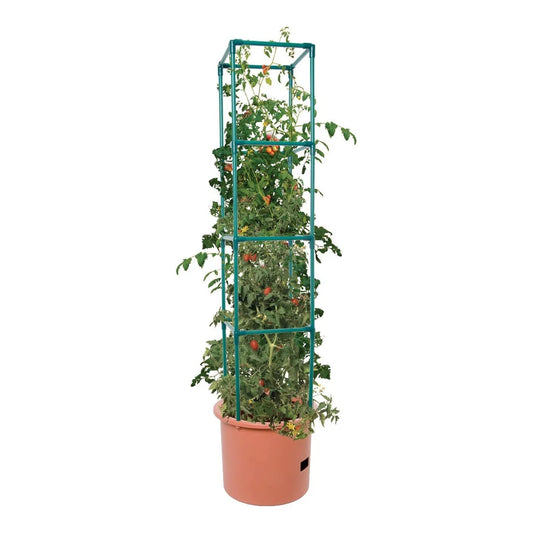 Heavy Duty Tomato Barrel w/Tower - tomato barrel with 4 ft support tower