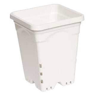 7"x7" Square White Pot, 9" Tall, 50 per case