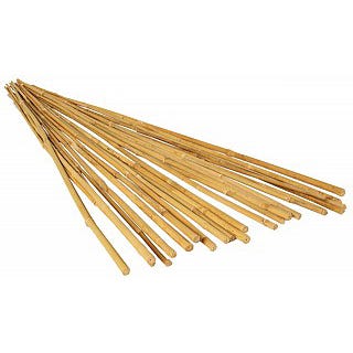 4' Natural Bamboo Stake, pack of 25