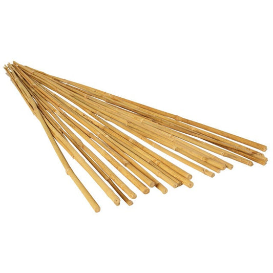6' Natural Bamboo Stake, pack of 25