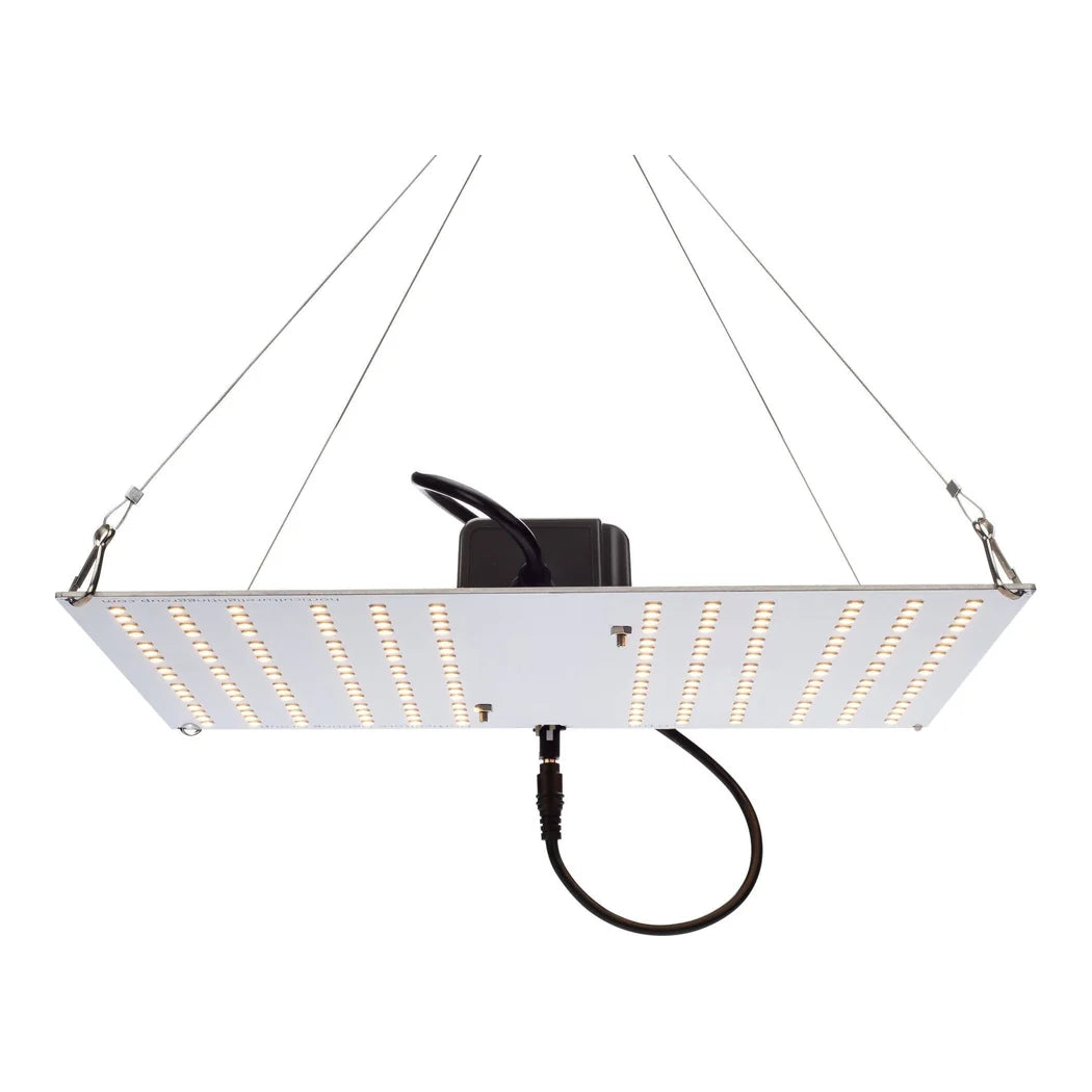 HLG 100 watt 4000K quantum board LED grow light