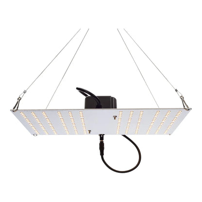 HLG 100 watt 4000K quantum board LED grow light