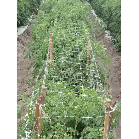 HORTONOVA Trellis Netting - 19FG 120'' X 100' - 19FG trellis netting supporting a crop row