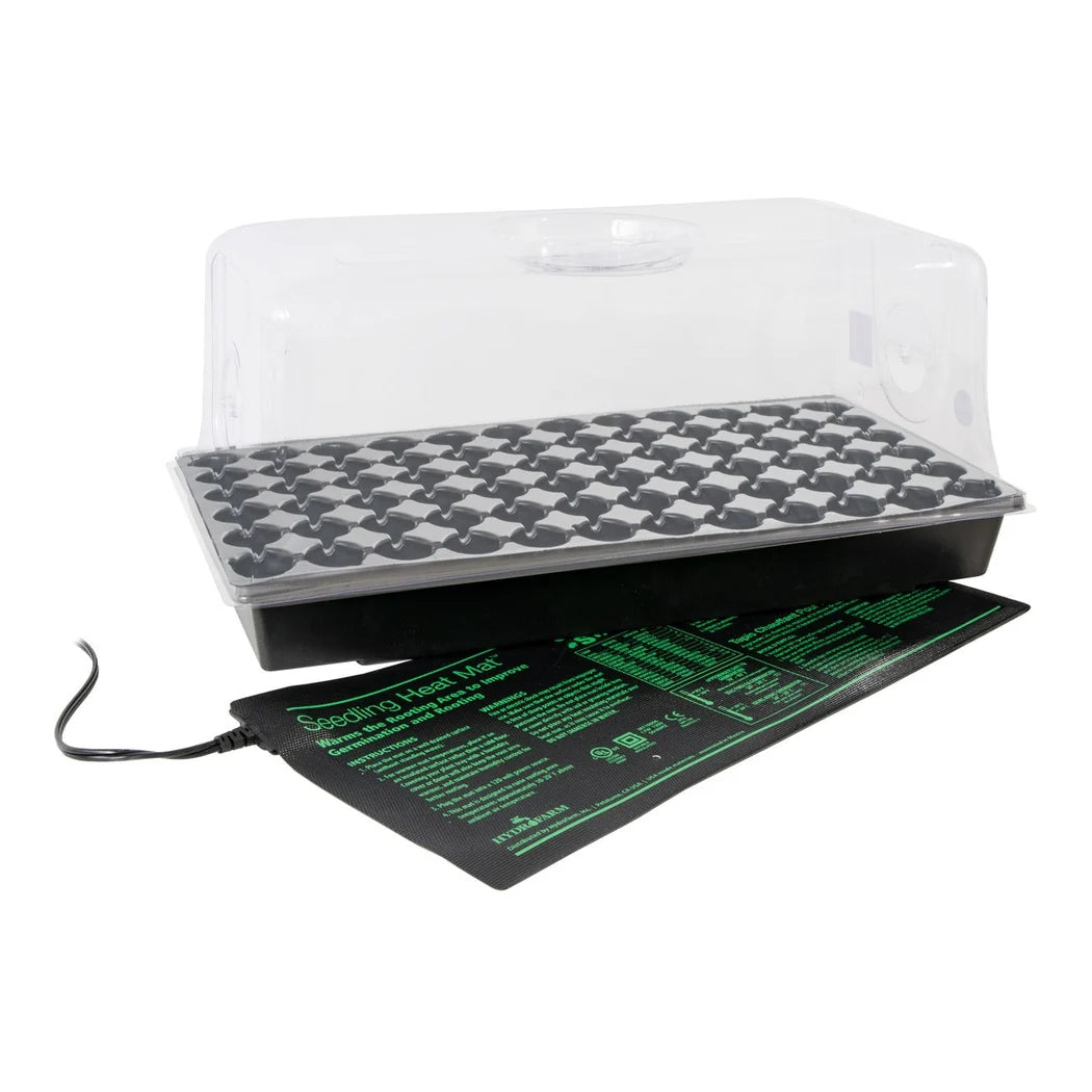 Hot House propagation kit with heat mat, 1020 tray, 72 cell insert and 7 inch vented dome, planted