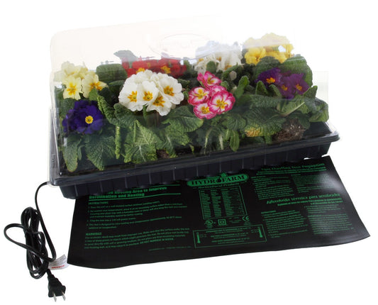 tray