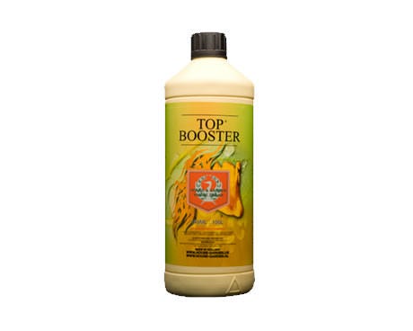 Top Booster