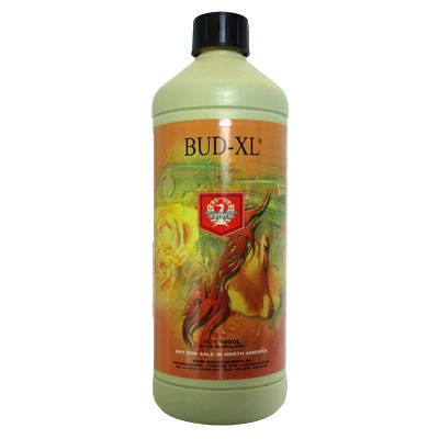Bud - XL