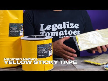 Common Culture Blue Sticky Glue Traps - 10cm x 25cm - 10 Pack (Euro. Standard)