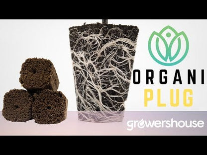 OrganiPlug Seed & Cutting Plugs - Pre-Filled Tray w/ 50 Plugs - Single, Case, and Pallet