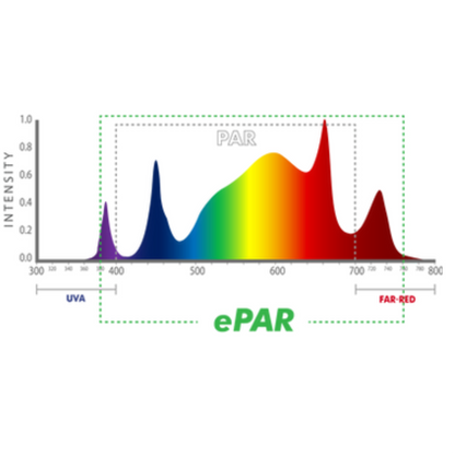 iLuminar iLogic6 spectrum