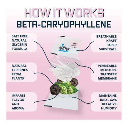 How Integra Boost Terpene Essentials Beta-Caryophyllene works, salt free glycerin formula diagram