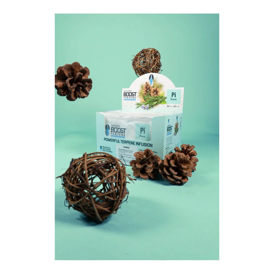 Integra Boost Terpene Essentials 67g Pinene 62% RH display box of humidity control packs, styled with pine cones