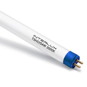 Interlux T5 Bloom Bulb 4' (3000K) Main Image