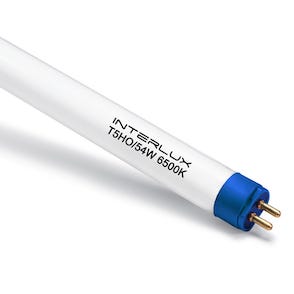 Interlux T5 Grow Bulb 4' (6500k) Main Image