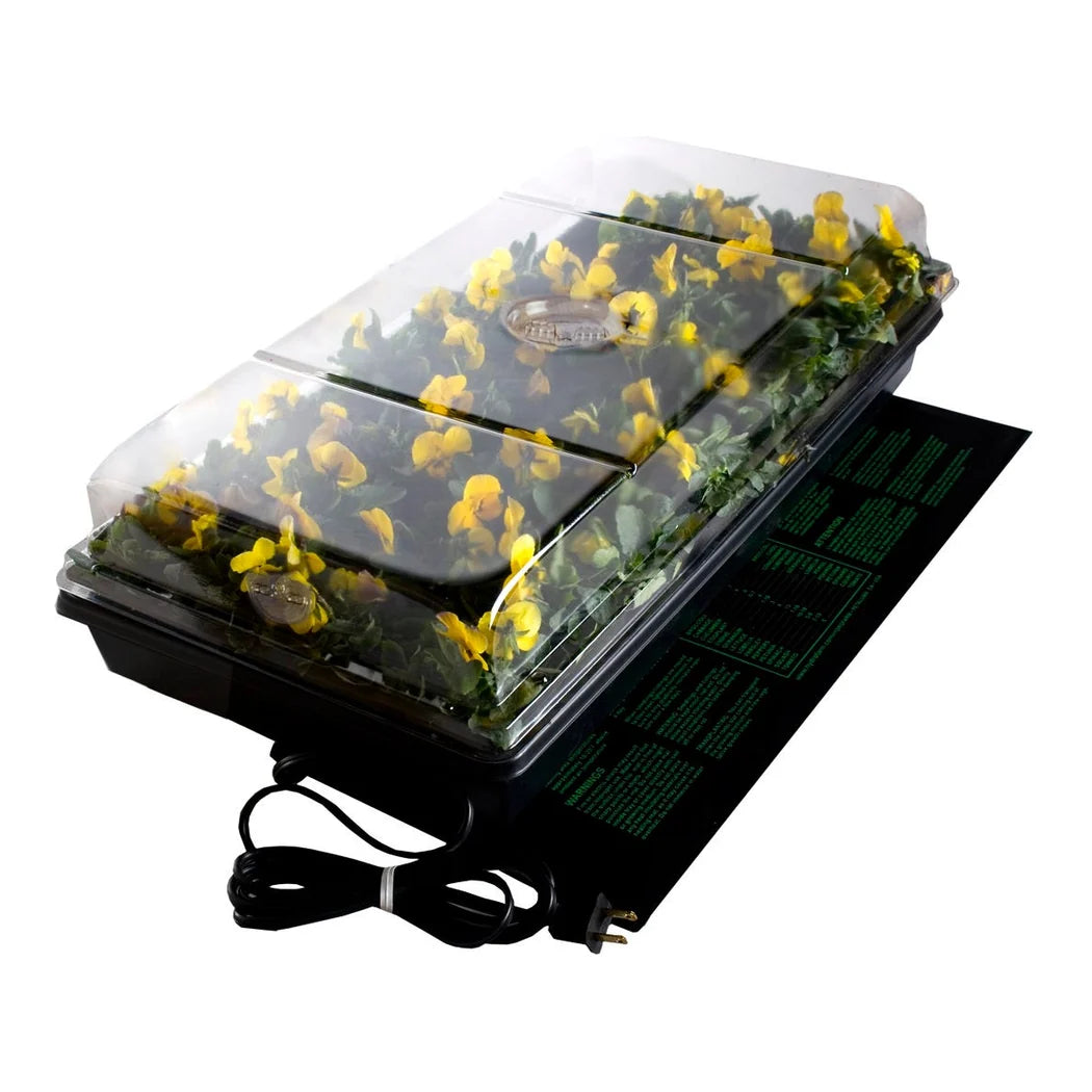 Jump Start Germination Station w/ Heat Mat, tray, 72 cell pack, 2 inch dome - germination station with heat mat, tray and 72 cell insert