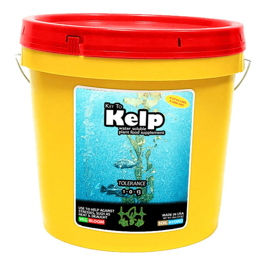 Key to Kelp 1-0-13 soluble kelp powder, 4 lb pail with red lid