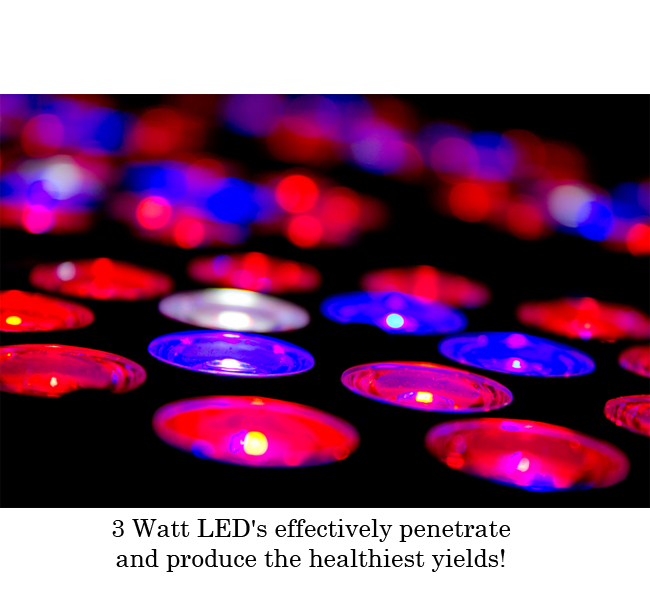 LED SuperNova - LED Grow Cabinets