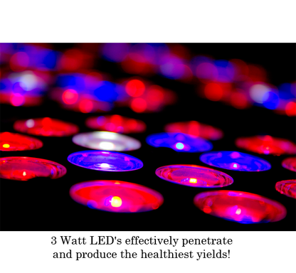 LED SuperNova - LED Grow Cabinets
