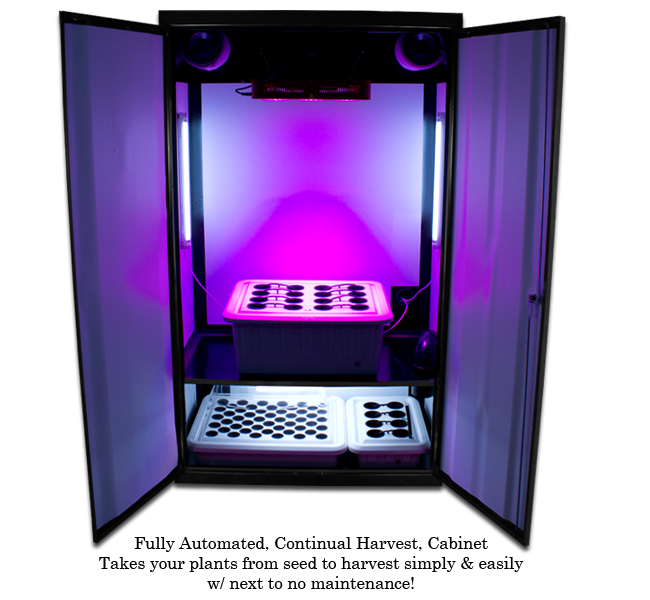 LED SuperNova - LED Grow Cabinets