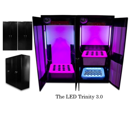 LED Trinity 3.0 â€“ LED Grow Boxes