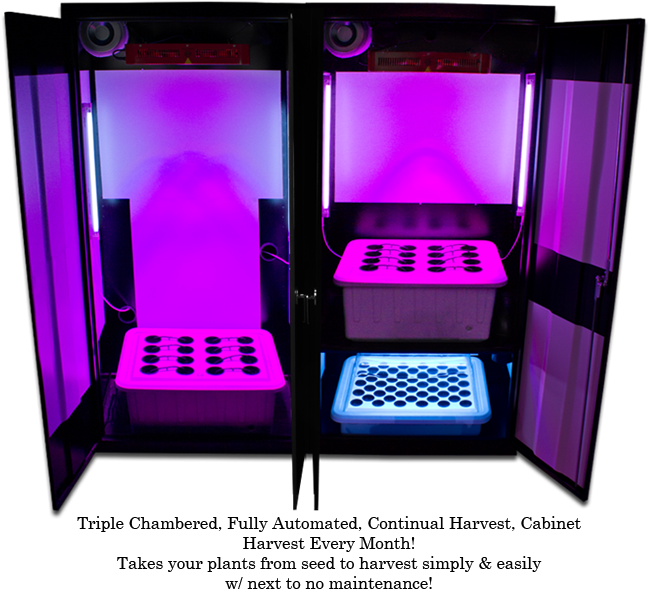 LED Trinity 3.0 â€“ LED Grow Boxes