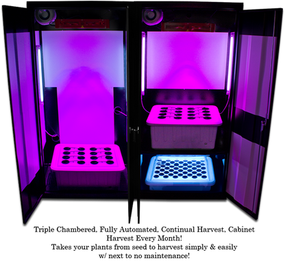 LED Trinity 3.0 â€“ LED Grow Boxes