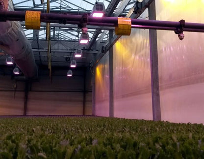 Heliospectra LX602C LED Grow Light