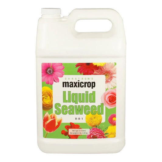 Maxicrop Liquid Seaweed 0-0-1 Norwegian kelp extract in a 1 gallon jug